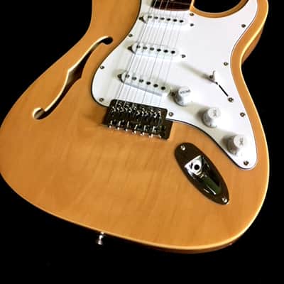 NEW SEMI HOLLOW STRAT STYLE 12 STRING ELECTRIC GUITAR image 2