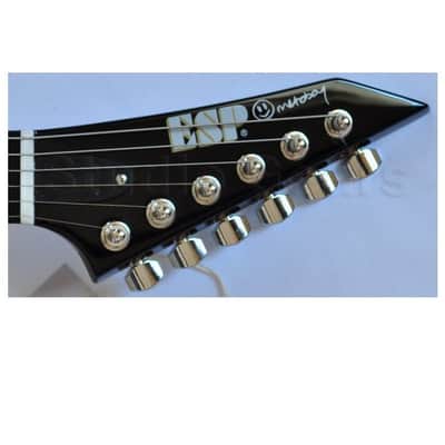 ESP Metin Türkcan Metoboy Electric Guitar with Case image 20