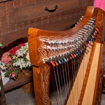 Roosebeck 22-String Heather Harp w/ Full Chelby Levers - Knotwork image 3