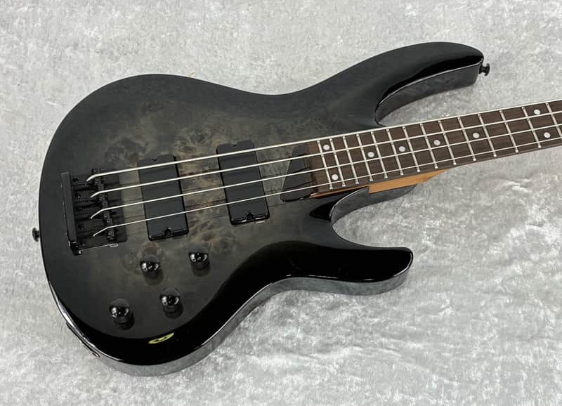 IN-STOCK - 2026 LTD B-204DX DX SERIES 4 STRING BASS \ BLACK BURST image 1