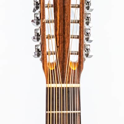 Daion MUGEN Mark I / 12 String w/ Factory Transducer Pickup image 18