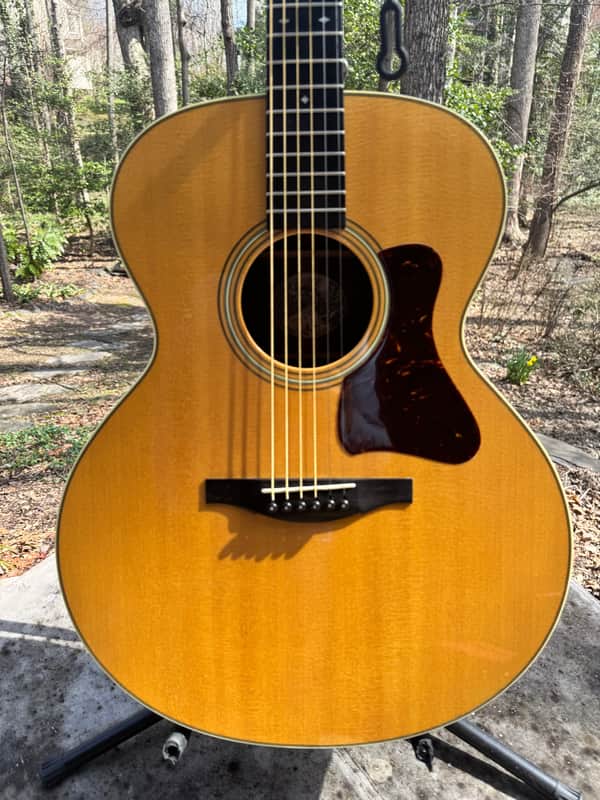 Collings SJ Indian 2003 - Natural image 1