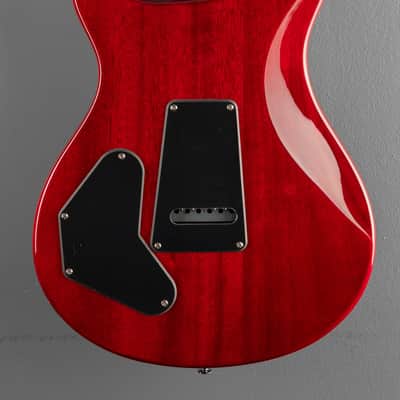 Paul Reed Smith SE DGT (David Grissom Trem) Standard, '25 image 4