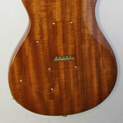 Paul Reed Smith Custom 24 Private Stock Brazilian #5783 (Demo) 2015 image 2