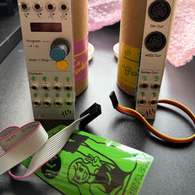 ALM/Busy Circuits ALM017 Pamela's NEW Workout Master Clock