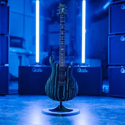Paul Reed Smith SE Limited Edition CE 24 LTD - Sandblasted Blue image 14