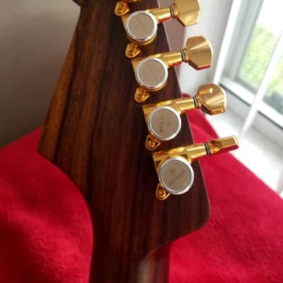 SJ Custom Guitars  Stratocaster semihollow all rosewood, Wilkinson tremolo, gotoh tuners image 12