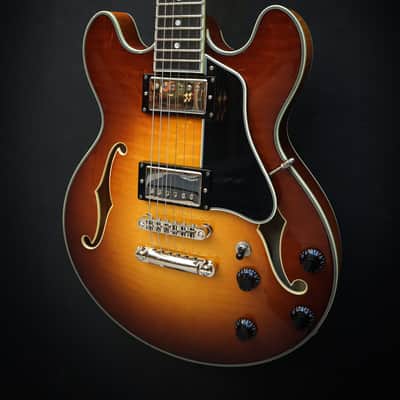 Eastman T484 Goldburst Bild 6