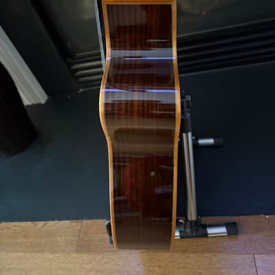 Cordoba Fusion Orchestra 12 Cutaway Nylon String 2026 - Glossy Solid Cedar Top, Rosewood Sides and Back image 6