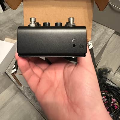 Strymon Iridium 2019 - Present - Black image 4