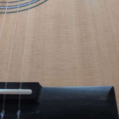 Taylor 214ce-N Nylon String Electro Acoustic - natural image 6