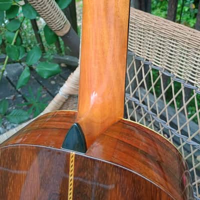 Washburn New Model 1897 Style Parlor Guitar, 1897-9, restored image 12