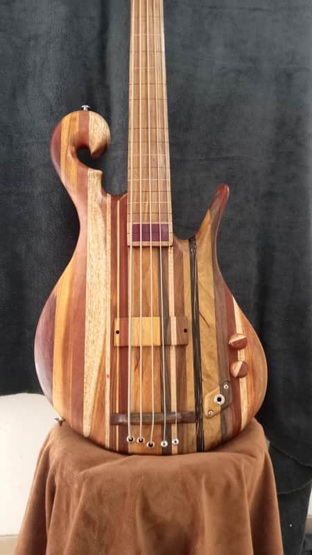 Thompson tribute Bassovarius #2 "Full Rainbow"5 strings bass image 1