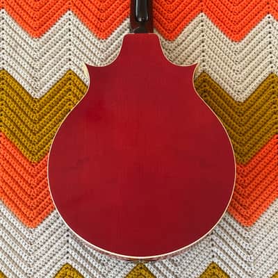 Ibanez Mandolin 1970’s Made in Japan 🇯🇵! - Incredible Sound! - Beautiful Instrument! - image 8