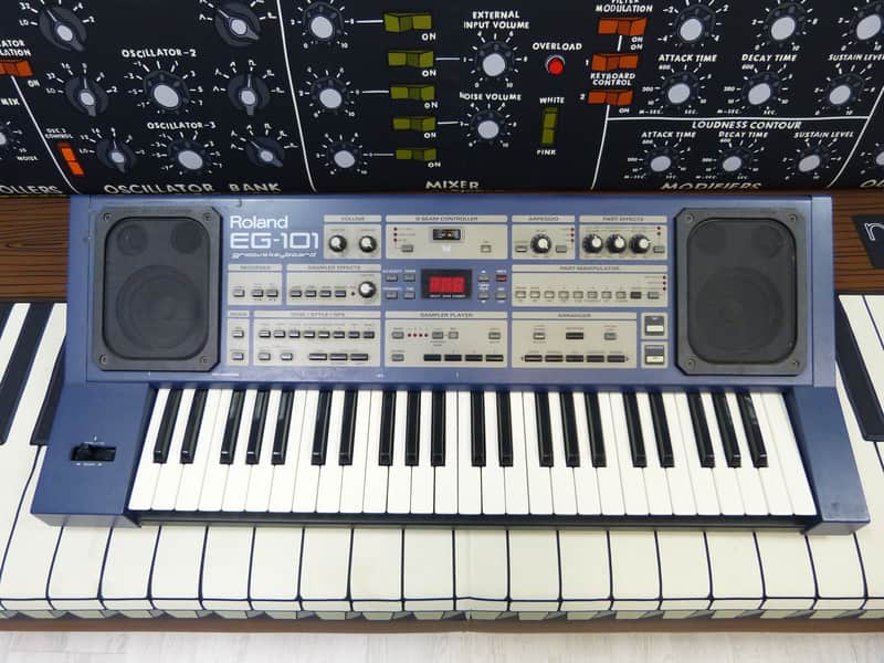 Roland EG-101 just serviced image 1