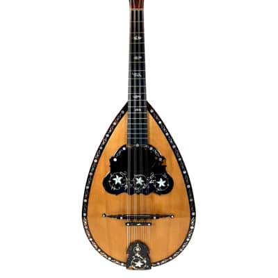 Umberto Ceccherini Mandola / Octave Mandolin (Giovanni Palladino Label) 1896 image 12