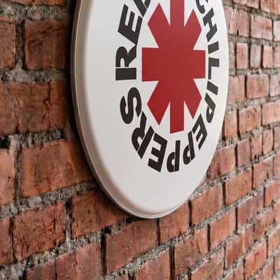 Red Hot Chili Peppers , 22" Custom Tribute Bass Drum Head image 3