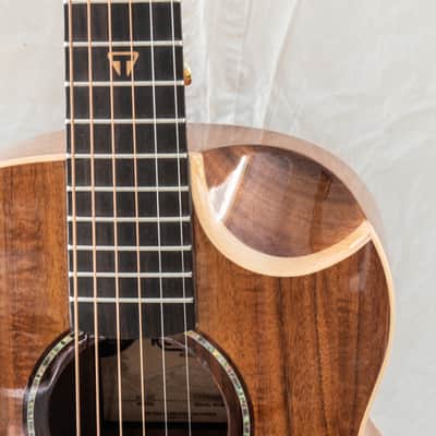Traveler Redlands Acoustic/Electric Koa Gloss with Gig Bag image 4