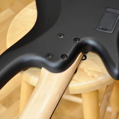 IBANEZ GWB35 BKF Black Flat / Gary Willis Signature / 5-String Fretless Bass / GWB35-BKF image 13