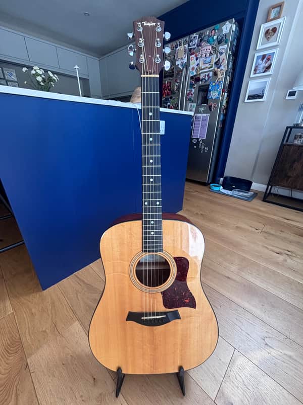 Taylor 310