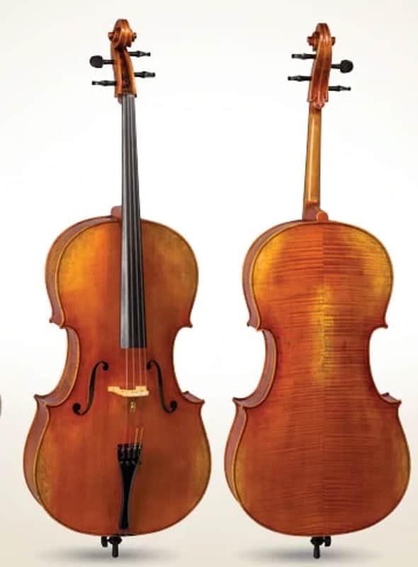 D Z Strad Model 900 handmade 4/4 Cello (4/4 - Full Size) image 1