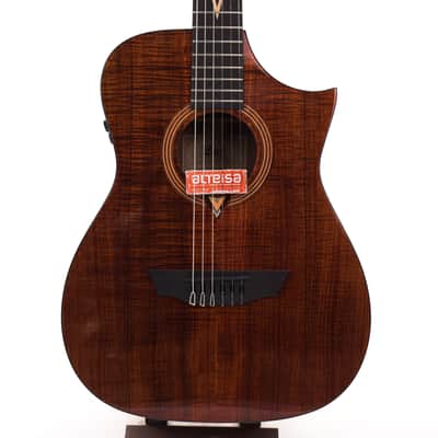 Cort LUXE nylon II Frank Gambale Cutaway with Electronics W-case 2039gr image 1
