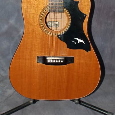1979 Kay Model K475 Auditorium Size Acoustic Pro Setup New Strings Plays Great! image 2
