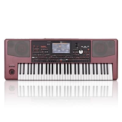 Korg Pa1000 EXDEMO image 2