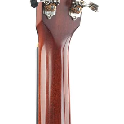 Rozawood Custom Figured Mahogany Dreadnought 2020 image 6