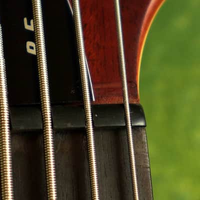 ESP LTD B-5E Neck-thru active 5-string bass (Mahogany top version) image 22