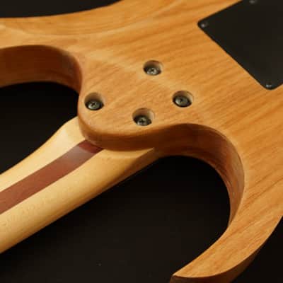Custom Ibanez Guitar RG570 Wizard neck Original Edge EMG 81 image 11