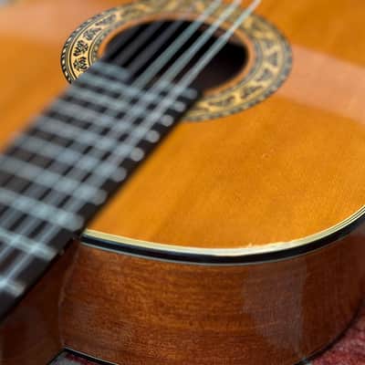 Morris MG-23 Classical Guitar 🇯🇵 image 15