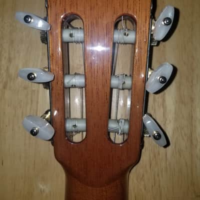 2006 Cordoba Custom Artist Cedar and Madagascar Rosewood Classical Guitar image 9