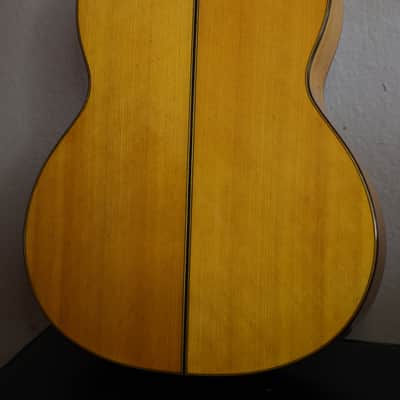 Green Mountain Flamenco Pro 2025 - Polyurethane laquer image 2