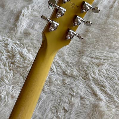 Gibson Les Paul Standard '60s TV Yellow Electric Guitar image 11