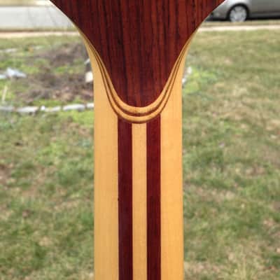 Alembic Series 1 Bass/Fretless 1981 Rosewood image 15