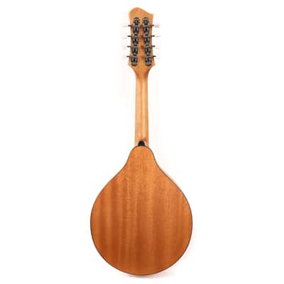 Eastman PCH-M104-GB Mandolin Goldburst image 3