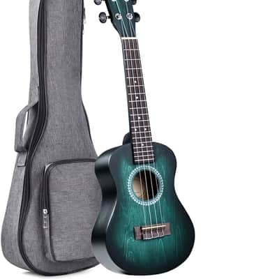 Ukulele Concert 23 Inches Blue-green, Ukulele Beginner Kit for Adults and Children, Unique Color Design image 1