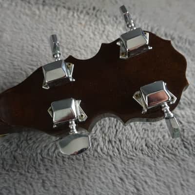 Vintage Tenesy Thumb Standard 5-String Banjo w/ Hard Case image 17