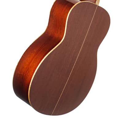 Goodall Mahogany Concert Jumbo Guitar #6199 image 7