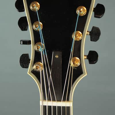W.E. Moll  19" Custom Express  2007  Natural Flame Maple Back and Sides image 5