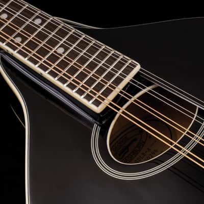 Washburn M1SDLB Bluegrass Series A-Style Mandolin. New with Full Warranty! image 11