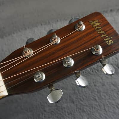 Morris W-35 Special Japan Acoustic Guitar image 8