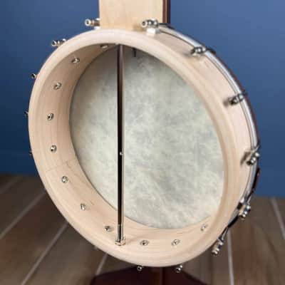 Custom Deering Goodtime 19-Fret Tenor Banjo Fiberskin 2026 image 4