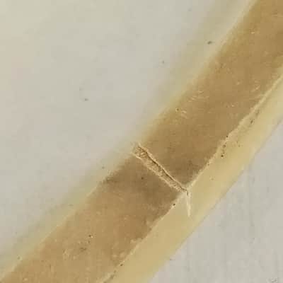 Slingerland 12" Genuine Calf Skin Tom Tom Drum Head Batter/Resonant Vintage 50s image 4