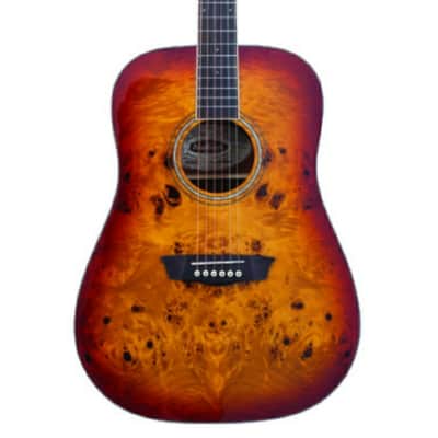 Washburn DFBDA Deep Forest Burl Dreadnought Acoustic Guitar. Amber Fade image 1