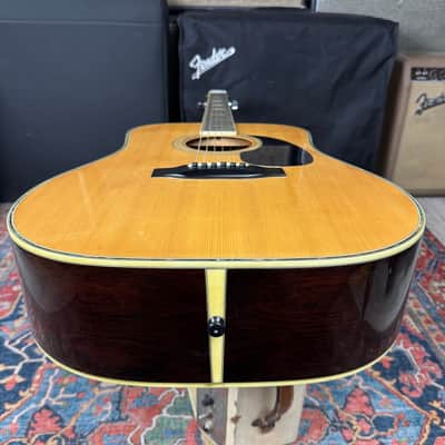 Morris D41 Style X-Braced Dreadnought Model W50 Jacaranda MIJ - 1970's image 15