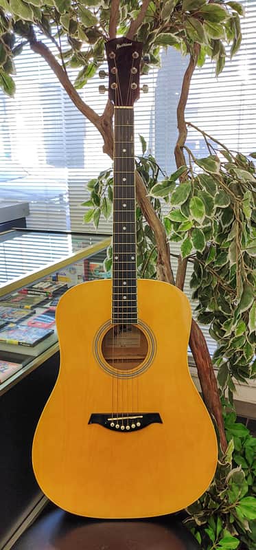 Northland BW41-202YW 2020's Acoustic Guitar - Natural image 1