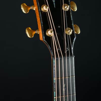 Taylor PS14ce Presentation Series Honduran Rosewood and Adirondack Spruce with Pickup Used (2025) image 13
