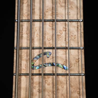 Peavey Cirrus Custom Shop 6 String bass - The "Poor Man’s Ken Smith" of Ghospel image 11